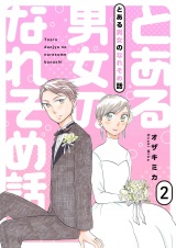 とある男女のなれそめ話【描き下ろしおまけ付き特装版】 2 パッケージ画像