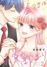 嘘つきは求愛のはじまり【描き下ろしおまけ付き特装版】 2 パッケージ画像