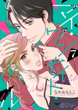 マイ・ワンナイト・ルール 7 パッケージ画像