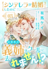 シンデレラが結婚したので意地悪な義姉はクールに去……れません!?（3） パッケージ画像