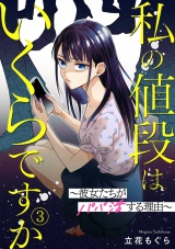 私の値段はいくらですか〜彼女たちがパパ活する理由〜(3) パッケージ画像