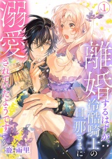 離婚するはずが、冷酷騎士の旦那さまに溺愛されていたようです(1) パッケージ画像