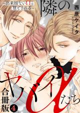 隣のヤバイαたち～出来損ないΩは堕とされる～合冊版4 パッケージ画像