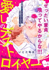 愛しのデストロイヤー(4) パッケージ画像