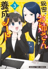 秘密のお姉さん養成ノート　３巻 パッケージ画像