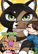 ひねくれ者のウチの猫をそれでも愛さずにはいられない 【せらびぃ連載版】（13） パッケージ画像