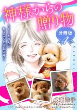 神様からの贈り物～くーちゃんのちょこっと日記より～　分冊版（4） パッケージ画像