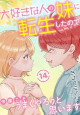 大好きな人の妹に転生したので今度こそうまくやろうと思います14 パッケージ画像