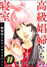 高級娼婦たちの寝室 〜闇聖母スカウトキャラバン〜 （11） パッケージ画像