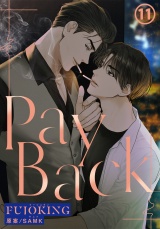 PAYBACK(11) パッケージ画像