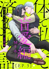 体で払って済まない話 盲愛編3 パッケージ画像