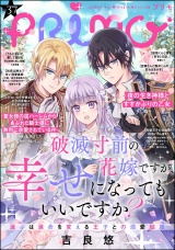 PRIMO Vol.37 パッケージ画像