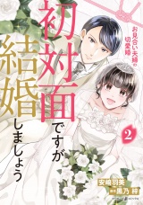 初対面ですが結婚しましょう〜お見合い夫婦の切愛婚〜2 パッケージ画像