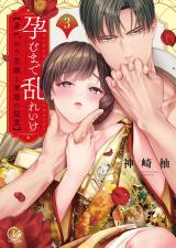 孕むまで乱れいけ～身代わり花嫁と軍服の猛愛【単行本版】【特典ペーパー付き】3 パッケージ画像