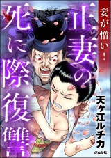 妾が憎い！ 正妻の死に際復讐 パッケージ画像
