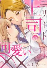 エリート上司の可愛い××【電子単行本版】 パッケージ画像