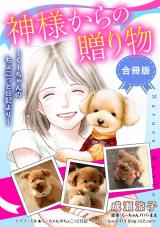 神様からの贈り物～くーちゃんのちょこっと日記より～　合冊版 パッケージ画像