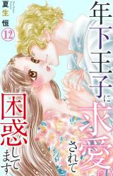 年下王子に求愛されて困惑してます12 パッケージ画像