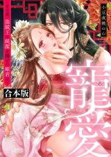 寵愛～その夜、盗賊王に純潔を捧げた姫君は～【合本版】  パッケージ画像