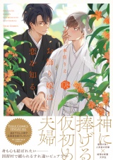 お飾り嫁は恋を知る【電子限定漫画付き】 パッケージ画像