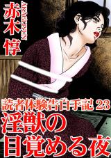 読者体験告白手記23 パッケージ画像