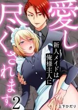 新人メイドは俺様主人に愛し尽くされます。(2) パッケージ画像
