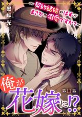 俺が花嫁に！？～契約結婚のはずがまさかの溺愛ですか？～11 パッケージ画像