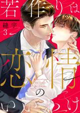 若作りは恋情のいいわけ3 パッケージ画像