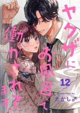 【分冊版】ヤクザにお風呂で働かされてます。　12 パッケージ画像