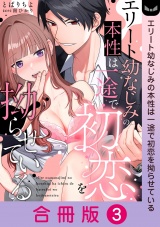 【合冊版】エリート幼なじみの本性は一途で初恋を拗らせている 3巻 パッケージ画像
