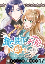 竜陛下のお妃はお断りしたい！　ストーリアダッシュ連載版　第17話 パッケージ画像