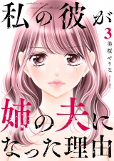 【合本版】私の彼が姉の夫になった理由３ パッケージ画像