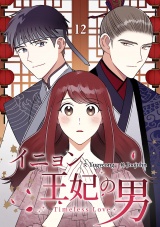 イニョン王妃の男【ページ版】１２ パッケージ画像
