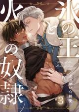 氷の王と火の奴隷3 パッケージ画像