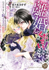 離婚してください！〜逃亡王妃となりすまし騎士王の蜜愛〜 パッケージ画像