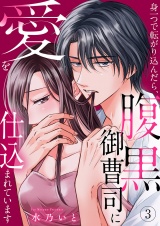 身一つで転がり込んだら、腹黒御曹司に愛を仕込まれています３ パッケージ画像