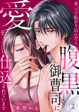 身一つで転がり込んだら、腹黒御曹司に愛を仕込まれています２ パッケージ画像