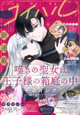 コイハル vol.２２ パッケージ画像