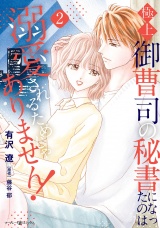極上御曹司の秘書になったのは溺愛されるためじゃありません！２ パッケージ画像