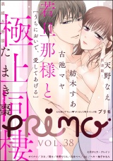 PRIMO Vol.38 パッケージ画像