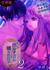 仇なす者に捕らわれて【合冊版】(2)～堕ちゆくエルフの快楽調教～ パッケージ画像