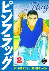 ピンフラッグ 2 パッケージ画像