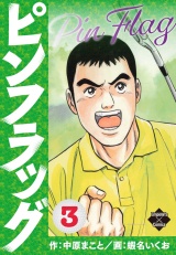 ピンフラッグ 3 パッケージ画像