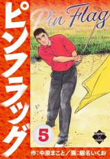 ピンフラッグ 5 パッケージ画像