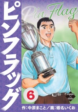 ピンフラッグ 6 パッケージ画像