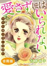 愛さずにはいられない　幸せを壊す男に天誅を　合冊版 パッケージ画像
