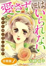 愛さずにはいられない　幸せを壊す男に天誅を　分冊版（1） パッケージ画像