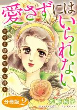 愛さずにはいられない　幸せを壊す男に天誅を　分冊版（2） パッケージ画像