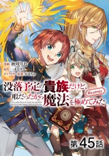【単話版】没落予定の貴族だけど、暇だったから魔法を極めてみた@COMIC 第45話 パッケージ画像