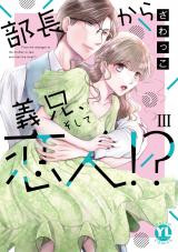 部長から義兄、そして恋人!?【単行本版】【電子書店限定特典付き】3 パッケージ画像